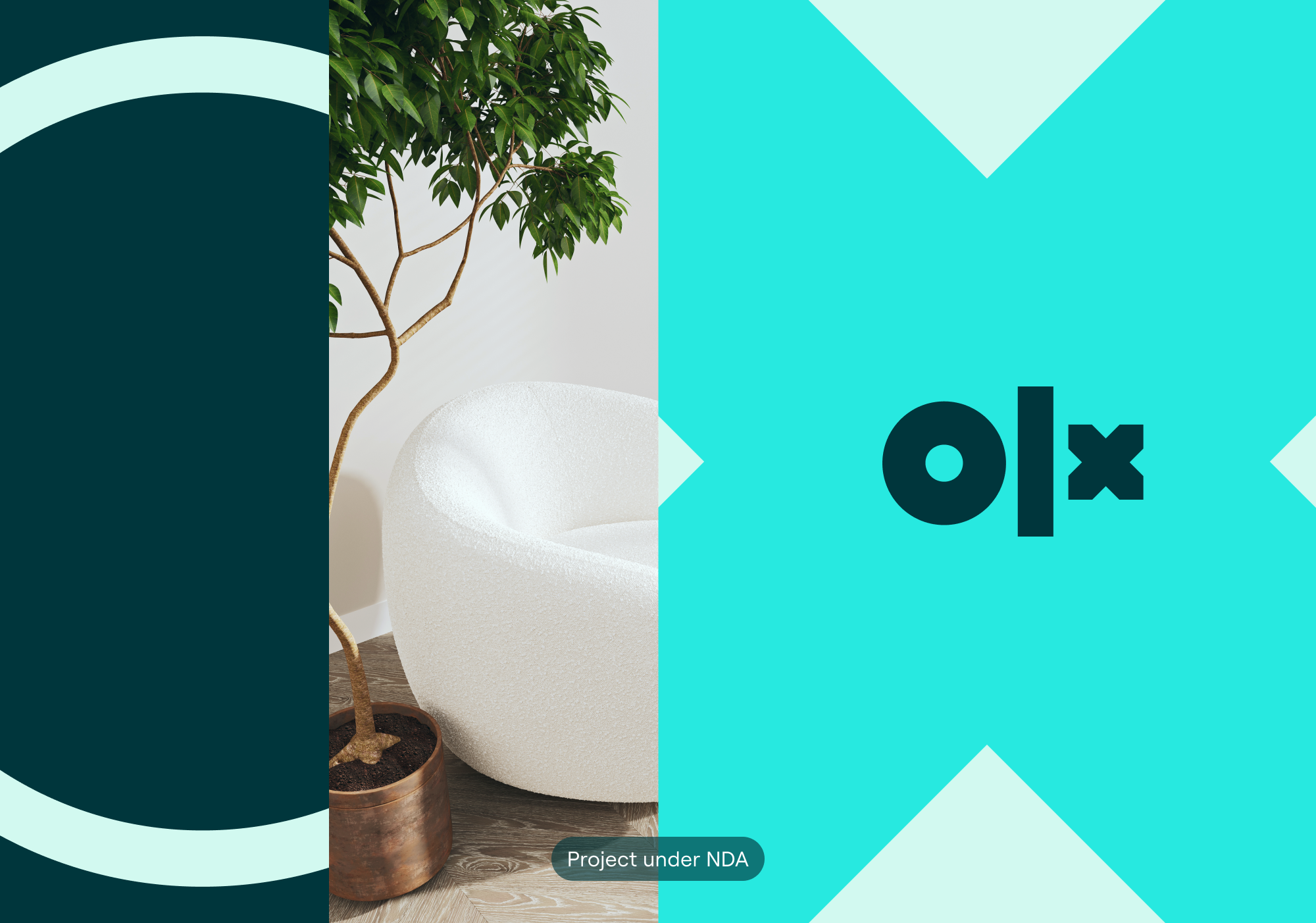 olx-2